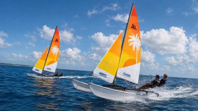 multi hull l1 anzali 390x220 - برگزاری دوره آموزشی سیلوری – سطح ۱ قایق‌های مولتی‌هال به میزبانی منطقه آزاد انزلی